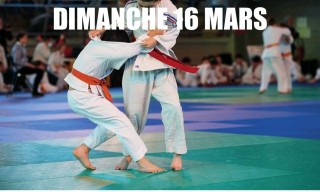 Image de l'actu '16-03-2025 - TOURNOI REGIONAL BENJAMIN(E)S'